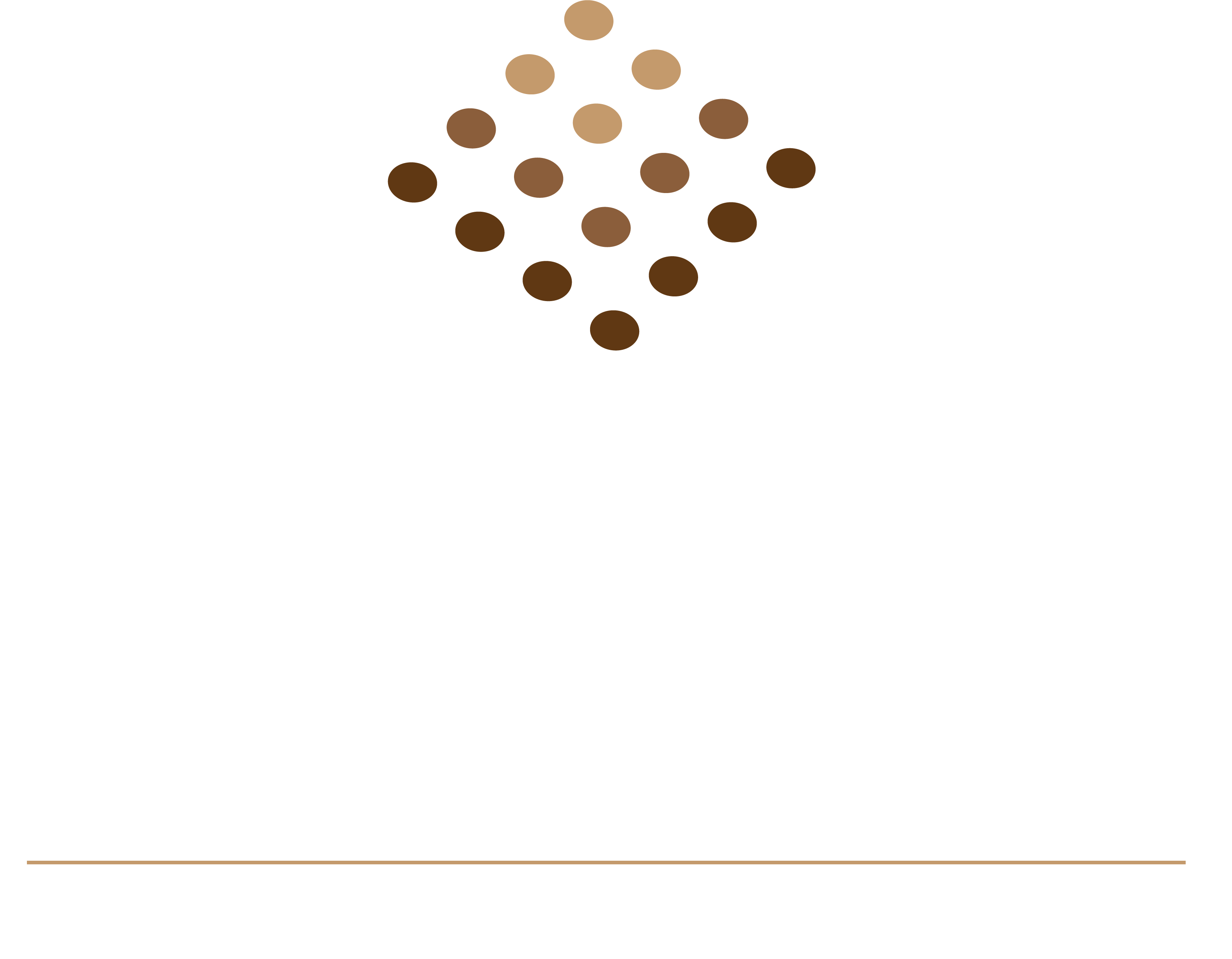 Racial Equity Asset Lab